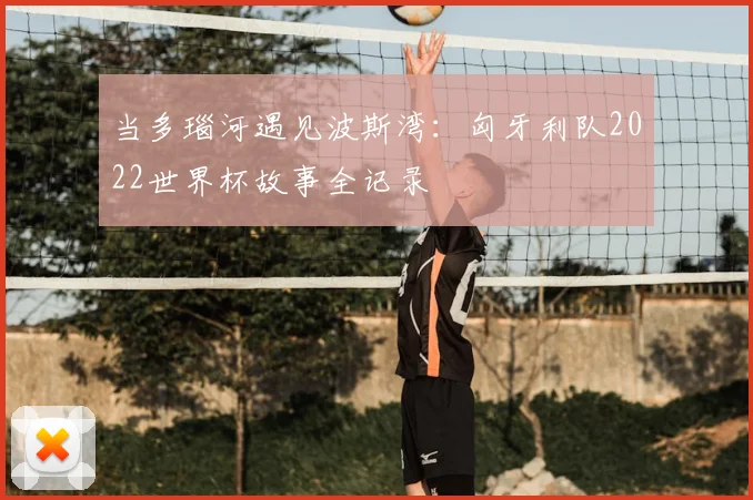 当多瑙河遇见波斯湾：匈牙利队2022世界杯故事全记录