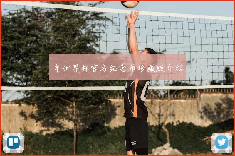 年世界杯官方纪念币珍藏版介绍