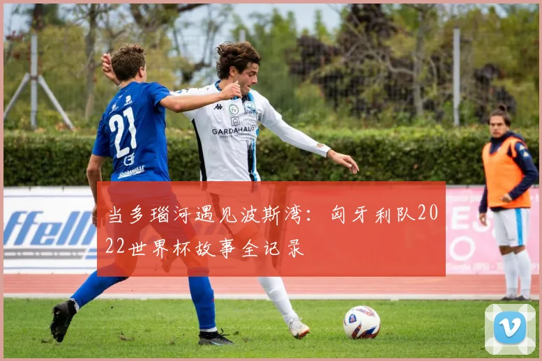 当多瑙河遇见波斯湾:匈牙利队2022世界杯故事全记录